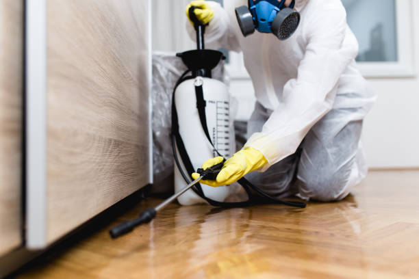 Best Pest Removal Services  in Fairland, MD