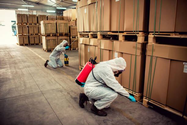 Best Pest Inspection Near Me  in Fairland, MD