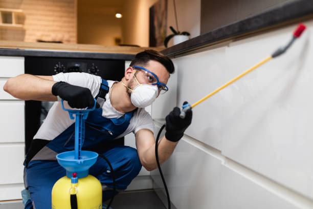 Best Rat Extermination Near Me  in Fairland, MD