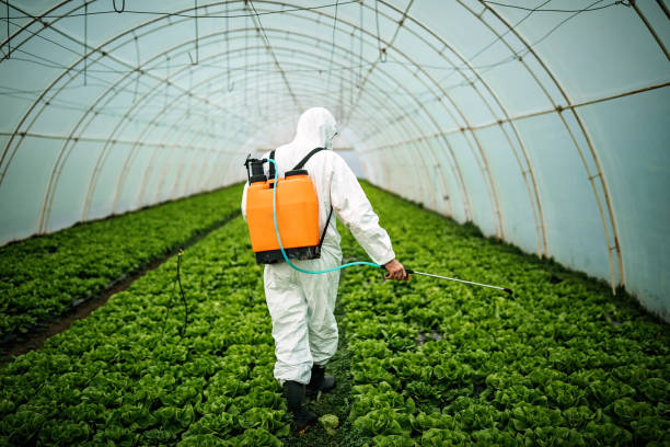Best Pest Inspection Near Me  in Fairland, MD