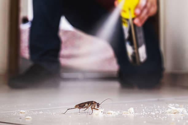 Best Rat Extermination Near Me  in Fairland, MD