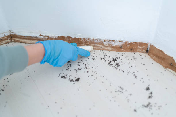 Best Best Pest Control Companies  in Fairland, MD